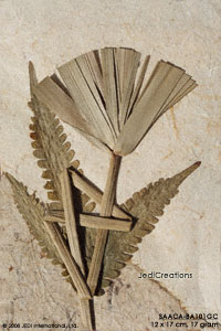 SAACA-BA101GC - Handmade greeting cards of banana paper
