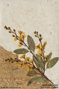 SAACA-BA102GC - Banana paper cards