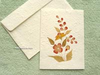 Image: SAACA-BFL101 - Wholesale greeting cards with pressed flowers on white saa paper
