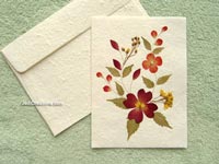 Image: SAACA-BFL102 - Wholesale greeting cards with pressed flowers on white saa paper