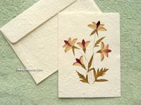 Image: SAACA-BFL103 - Wholesale greeting cards with pressed flowers on white saa paper