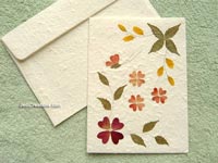 Image: SAACA-BFL104 - Wholesale greeting cards with pressed flowers on white saa paper
