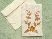 Image: SAACA-BFL105 - Wholesale greeting cards with pressed flowers on white saa paper