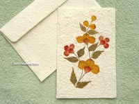 Image: SAACA-BFL106 - Wholesale greeting cards with pressed flowers on white saa paper