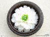 Wholesale carved soap flowers, manufacturer exports, northern Thailand