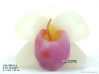 Wholesale Floating Candles, Thailand