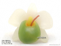 Floating Candles Wholesale, Thailand