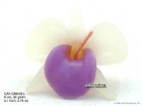 Floating Candles Wholesale, Thailand