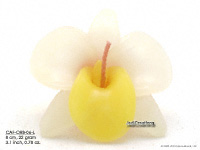 Floating Candles Wholesale, Thailand