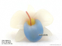 Floating Candles Wholesale, Thailand