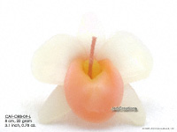 Floating Candles Wholesale, Thailand