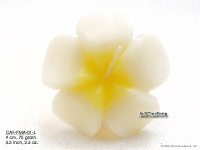 Floating Candles Wholesale, Thailand