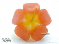 Floating Candles Wholesale, Thailand