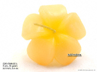 Floating Candles Wholesale, Thailand