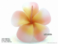 Floating Candles Wholesale, Thailand