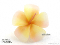 Floating Candles Wholesale, Thailand