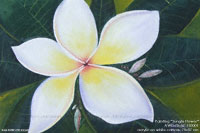 Hand painted in acrylic "Jungle Flower" AWC-75x57-FL0001, exporter wholesale directly from northern Thailand