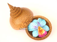 Wholesale carved soap flowers in coconut or palm wood containers - Manufacturer artisans, wholesale direct from Thailand