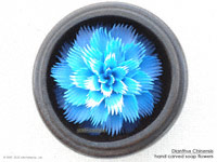 Blue Dianthus Chinensis soap flower