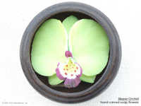 LIght-green Slipper Orchid soap flowers